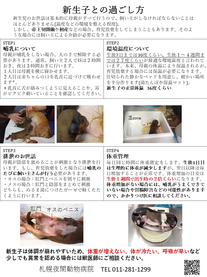 緊急の病気 サイン 札幌夜間動物病院