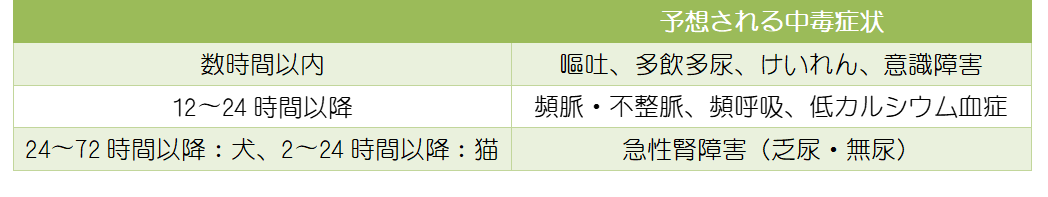 誤食 中毒について 札幌夜間動物病院